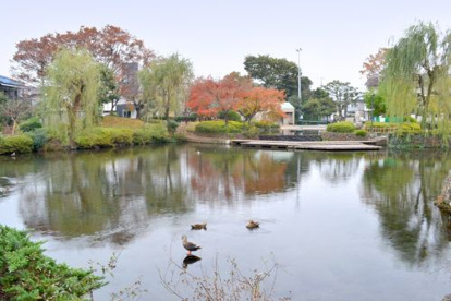 菰池公園の画像1