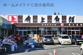 角上魚類 小平店