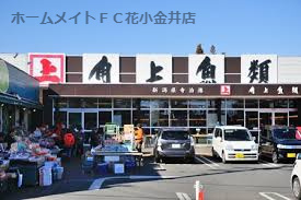 角上魚類 小平店の画像1