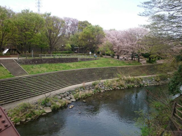 上岩崎公園の画像1