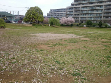 上岩崎公園の画像3