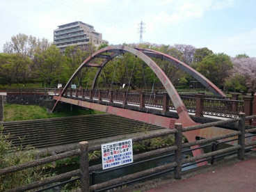 上岩崎公園の画像4