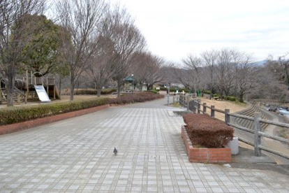 上岩崎公園の画像5
