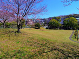 東大場公園