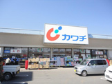 カワチ薬品 二宮店