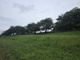 狩野川桜公園の画像