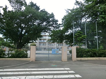 杉並区立馬橋小学校の画像1