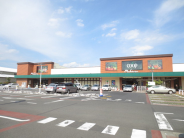 コープかながわミアクチーナ上今泉店の画像1