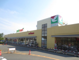 ヨークマート 伊勢原店