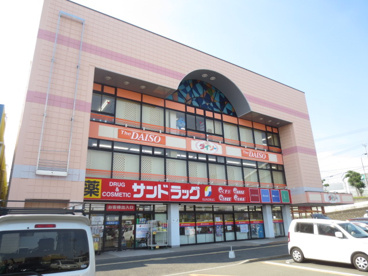ザ・ダイソー伊勢原エムアイプラザ店の画像1