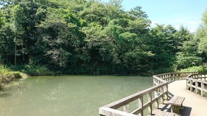 姿見の池の画像1