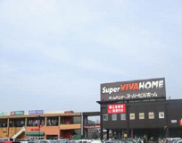 スーパービバホーム 埼玉大井店