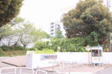 横浜国立大学
