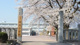 前橋市立時沢小学校の画像