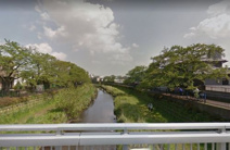 野川