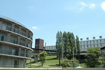 和光大学