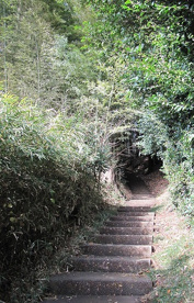 生田緑地東口ビジターセンターの画像2