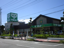 サミットストア 羽衣町いちょう通り店