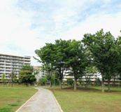福岡中央公園