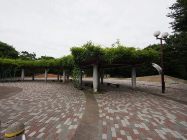 大泉中央公園の画像1