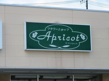 フラワーショップApricotの画像1