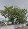八朔幼稚園