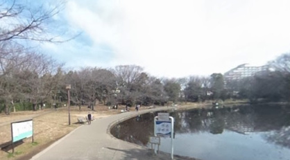 せせらぎ公園の画像2