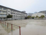東豊台小学校