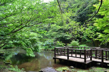 鮎壺の滝公園の画像2