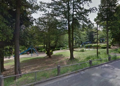 藤が丘公園の画像1