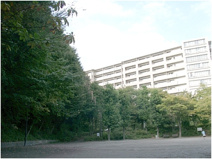 山口白山公園