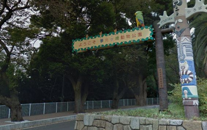  夢見ケ崎動物公園の画像1