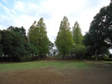 公園 おゆみ野六通公園