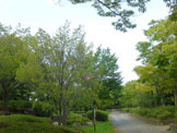 おゆみ野はるのみち公園