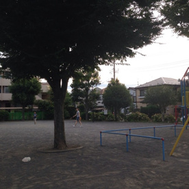 東希望が丘第七公園の画像1