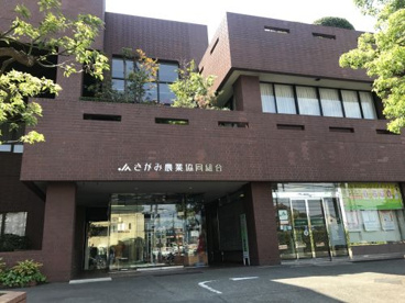 JAさがみ本店の画像1