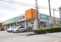 ドラッグエース 岡店