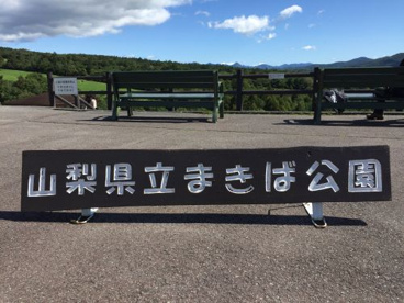 山梨県立 まきば公園の画像1