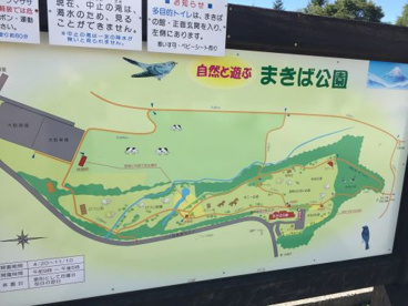  山梨県立 まきば公園の画像3