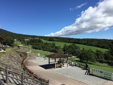  山梨県立 まきば公園の画像4