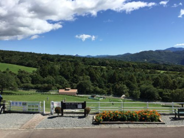  山梨県立 まきば公園の画像5