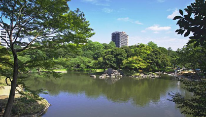 小石川後楽園の画像1