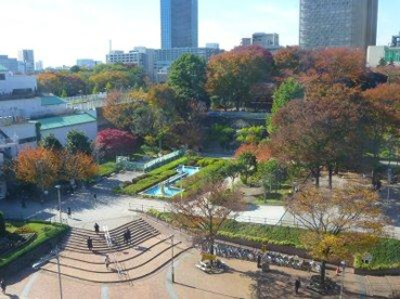 礫川公園の画像1
