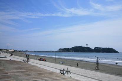 県立湘南海岸公園の画像1