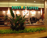 ドトールコーヒーショップ 新宿野村ビル店