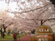 山王公園の画像