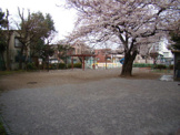 塔の山公園