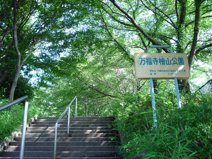 万福寺檜山公園