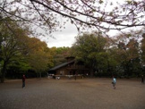 綱島公園