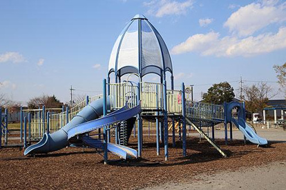 大泉橋戸公園の画像2